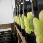 Sprankelend hageland op Domein Chartreuzenberg - opendeurdagen