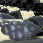 Sprankelend hageland op Domein Chartreuzenberg - opendeurdagen